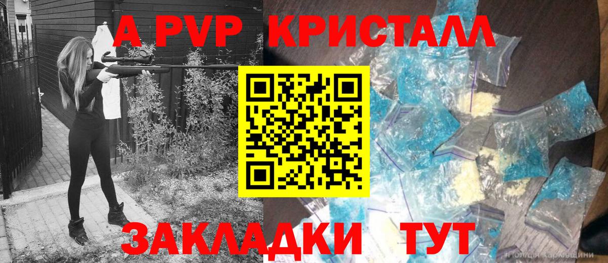 A PVP СК Нижний Новгород