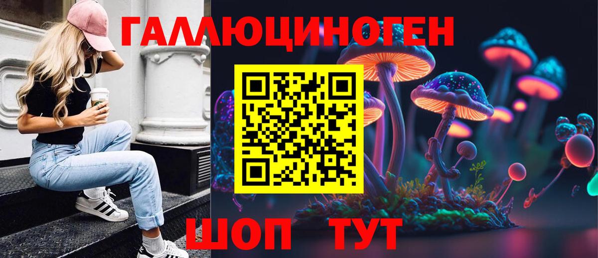 Псилоцибиновые грибы мицелий Нижний Новгород