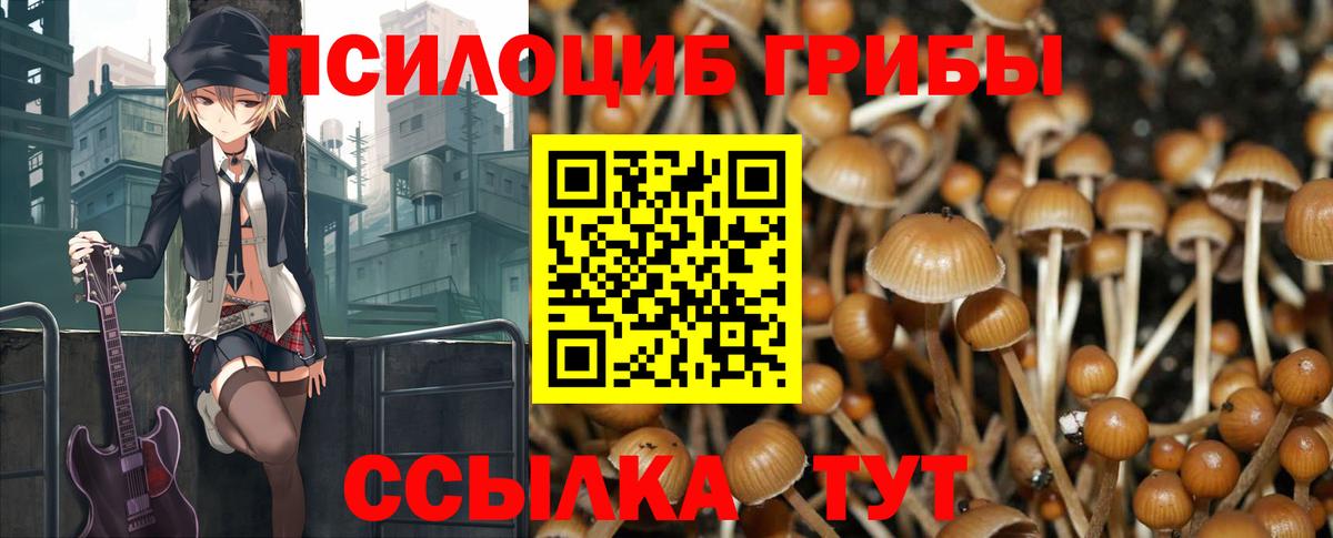 Нижний Новгород  Псилоцибиновые грибы Cubensis  Вход с VPN 